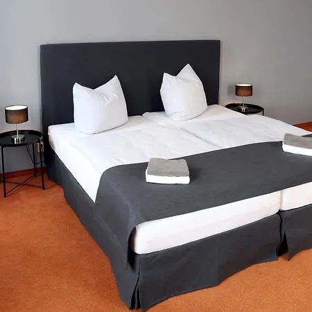 酒店 Saechsischer Hof 皮尔纳