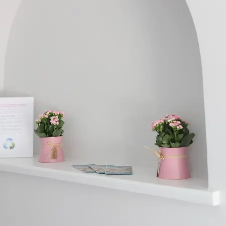 Отель Saechsischer Hof Пирна